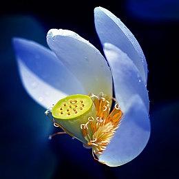 未来游戏展：《光明记忆：无限》宣布PS5、Xbox Series和Switch